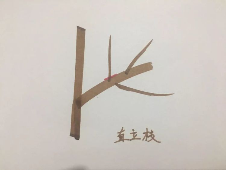 lhsg0004.jpg