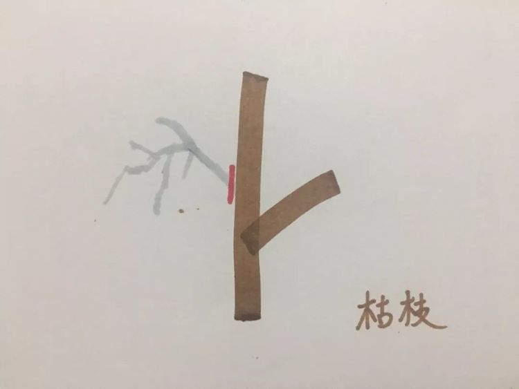 lhsg0006.jpg